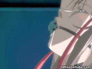 Mix Of films By Hentai Niches